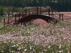 -嘉北郊野公园