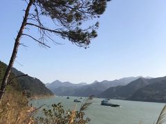 -羚羊峡古栈道森林公园