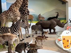 -陕西自然博物馆