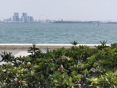 -麦当劳(苏州中心星悦汇店)