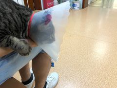 -宠颐生中康贝怡动物医院
