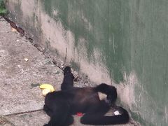 -合肥野生动物园