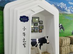 -蒙牛工业旅游景区