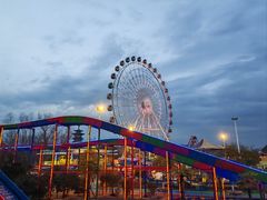 -洋湖国家湿地公园