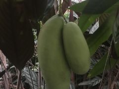 -汤山翠谷生态餐厅