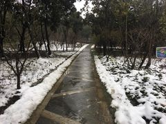 -昆山城市生态森林公园