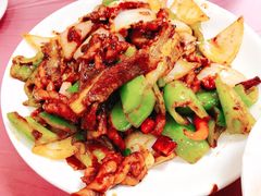 麻花回锅肉-乐乐餐厅(湘子庙街店)