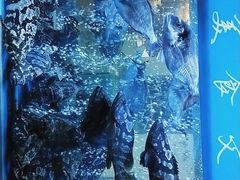 -海鲨湾海鲜会馆(百家湖1912店)