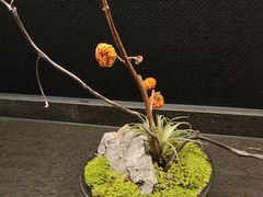 -炊江南·上海菜(国展华漕店)
