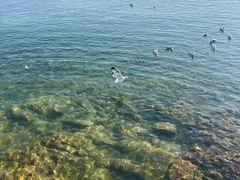 -海合安青岛极地海洋公园