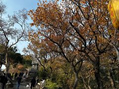 -灵岩山风景区
