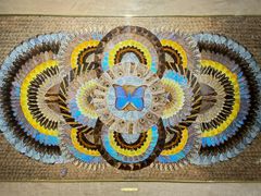 -上海昆虫博物馆