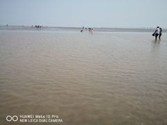 -南汇嘴观海公园