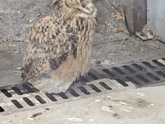 -鄂尔多斯野生动物园