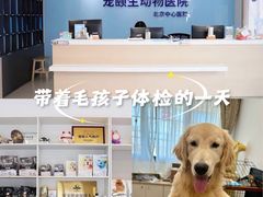 -宠颐生斯嘉宠物医院·急重症·心内科(谷阳北路分院)