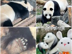 -红山森林动物园