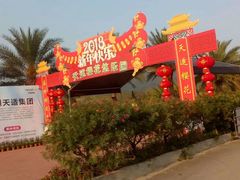 -天适樱花悠乐园