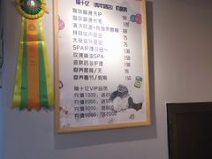 -猫十亿·布偶金渐层·曼基康矮脚猫舍(青年路店)