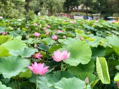-宁波儿童公园(鄞州区)