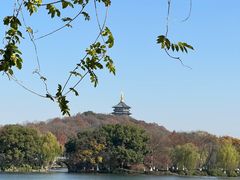 -西湖外事游船(花港观鱼码头)