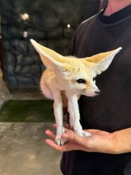 -Zoolung Zoolung动物主题公园(海信广场店)