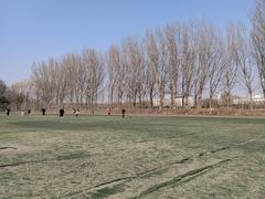 -五环公园