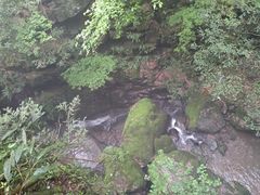 -藏龙百瀑风景区