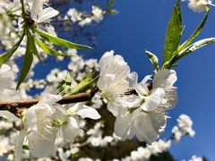 -全家便利店(法华寺街店)