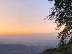 -兰山公园