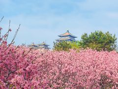 -莲花池公园
