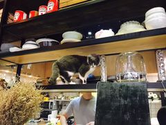 -MIKAKU(万达广场上海宝山店)