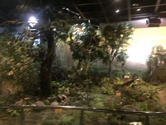 -陕西自然博物馆