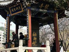-桃花堤公园