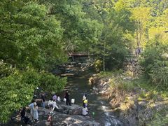 -石台牯牛降景区