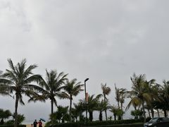 -螺州海滨公园