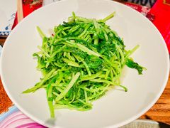 -纳瓦新疆菜(银都店)