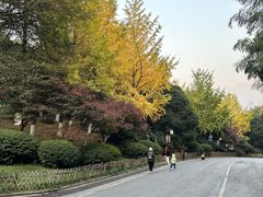-岳麓山风景名胜区