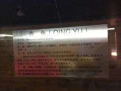 -南京金牛湖风景区