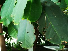 -青岛嘉年华主题乐园