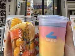 -白色日记·手作酸奶(麦凯乐店)