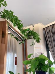 -尚艺造型.剪烫染.接发