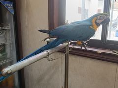 -观桥阁(锦溪店)