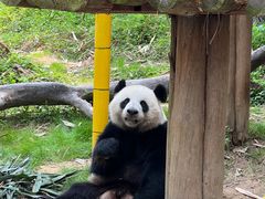 -广州长隆野生动物世界