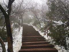 -杭州半山国家森林公园