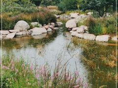 -莲花池公园