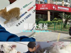 -御宝贝24h宠物医院·转诊中心·CT核磁血透中心(厦门总院)