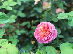 -人民公园(罗湖区)