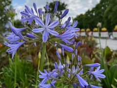 -上海山野camping·户外天幕烧烤·团建拓展营地