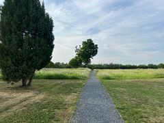 -汉长安城未央宫国家考古遗址公园