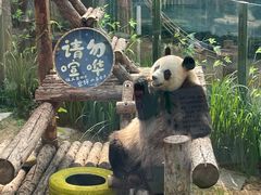 -大连森林动物园